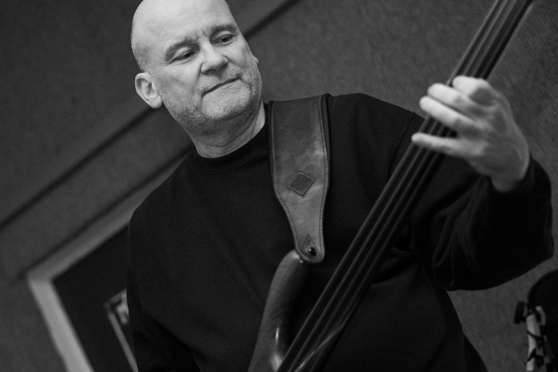 Harald Holler